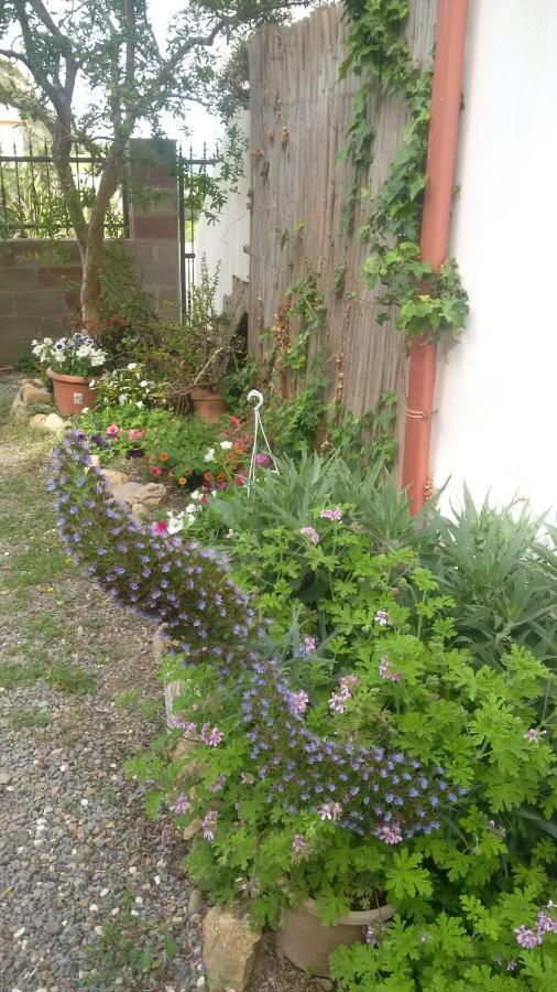 Lovely House Apartamento Nebida Exterior foto